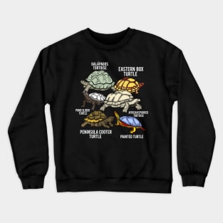 Turtle Breeds Galapagos Tortoise Species Turtle Crewneck Sweatshirt